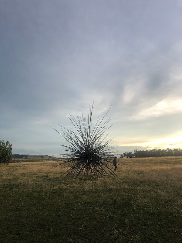 Land Urchin, 2020 Lisdillon - Wona Charlie