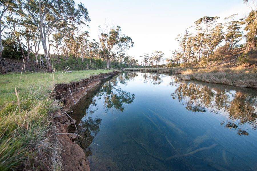 Lisdillon Estate river