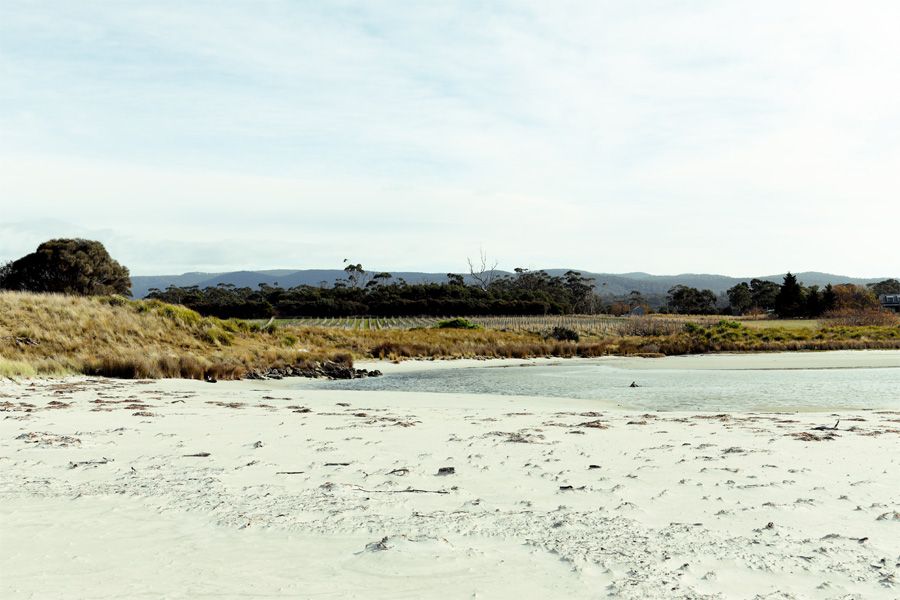 Lisdillon Estate beach and vineyard