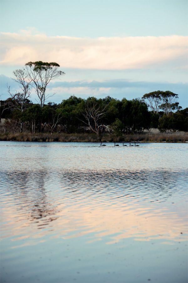 Lisdillon Estate private river