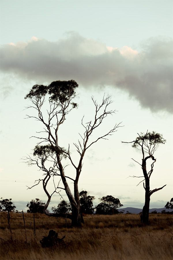 Lisdillon Estate Farm