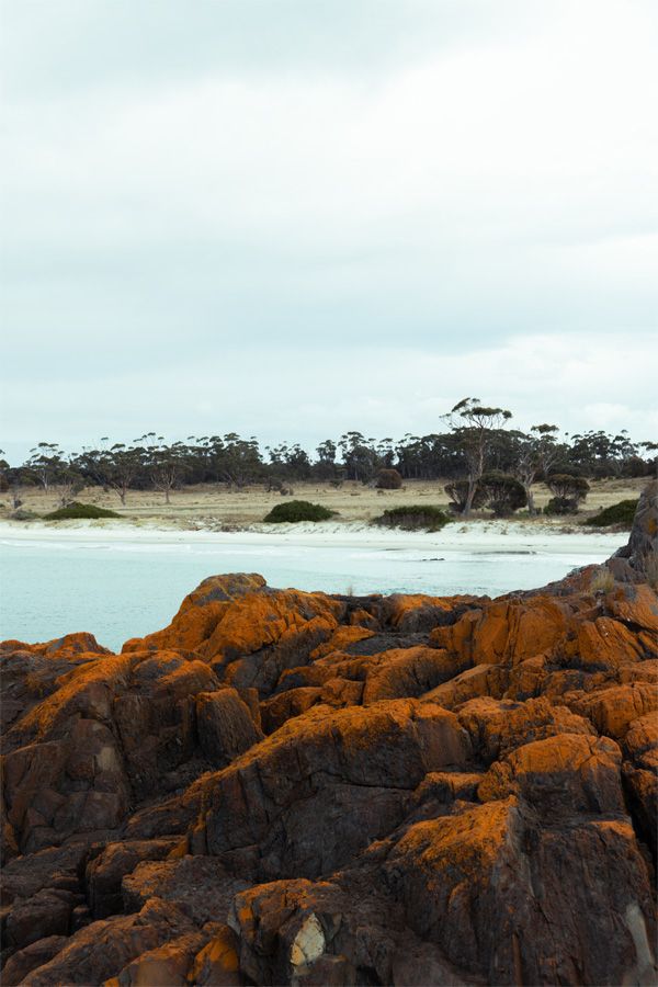 Lisdillon Estate rocks beach