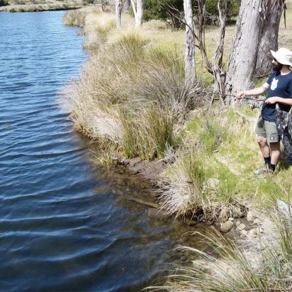 Fishing on the Rivulet